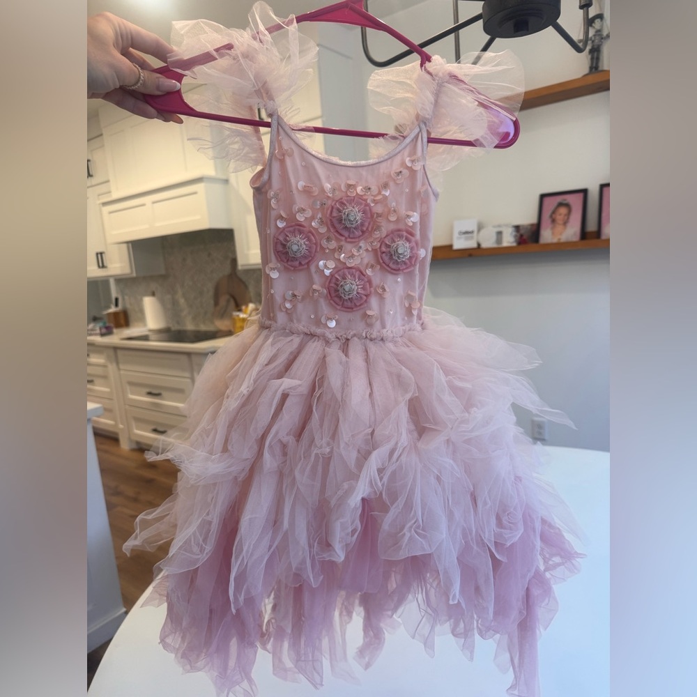 Tutu Du Monde Blush Floral 4/5T Dress